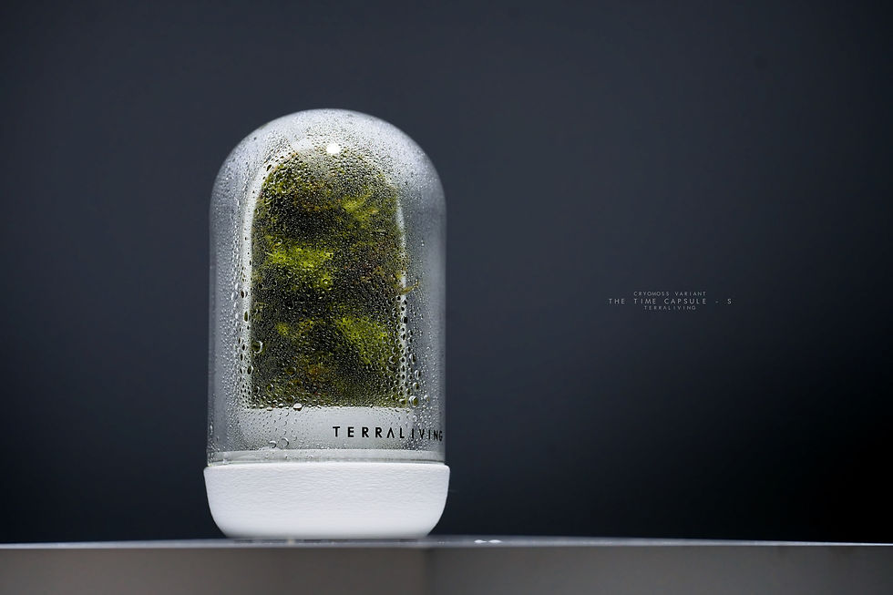 Thumbnail: Live Moss Terrarium: The Time Capsule Mini (S) CryoMoss Edition, A Dormant Moss