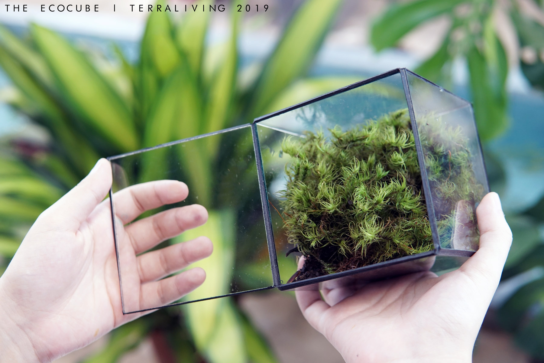 the EcoCube