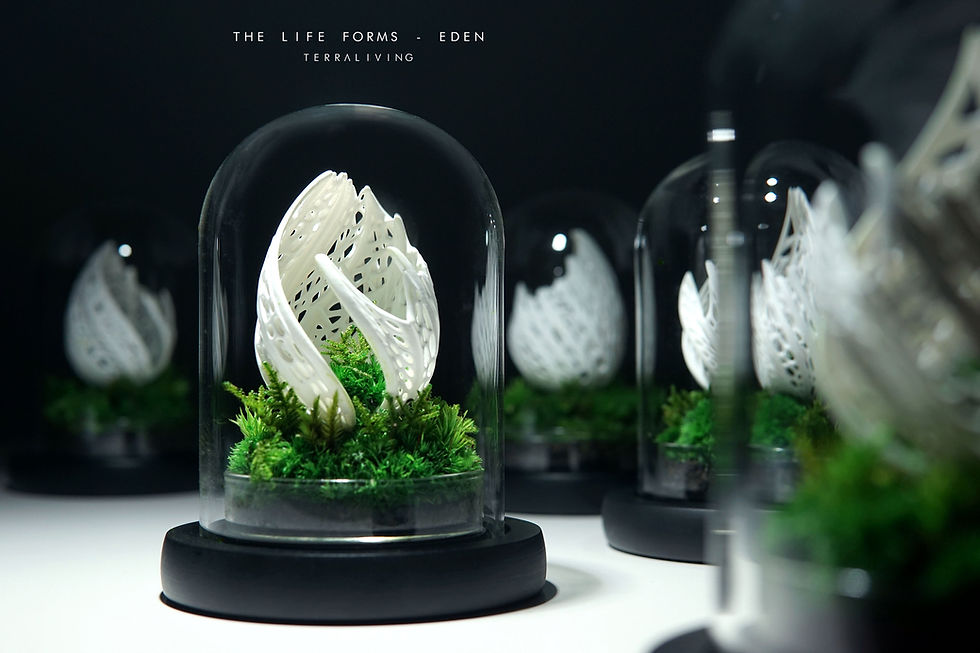 Thumbnail: The Life Forms - Eden, Organic Sculpture Preserved Moss Terrarium