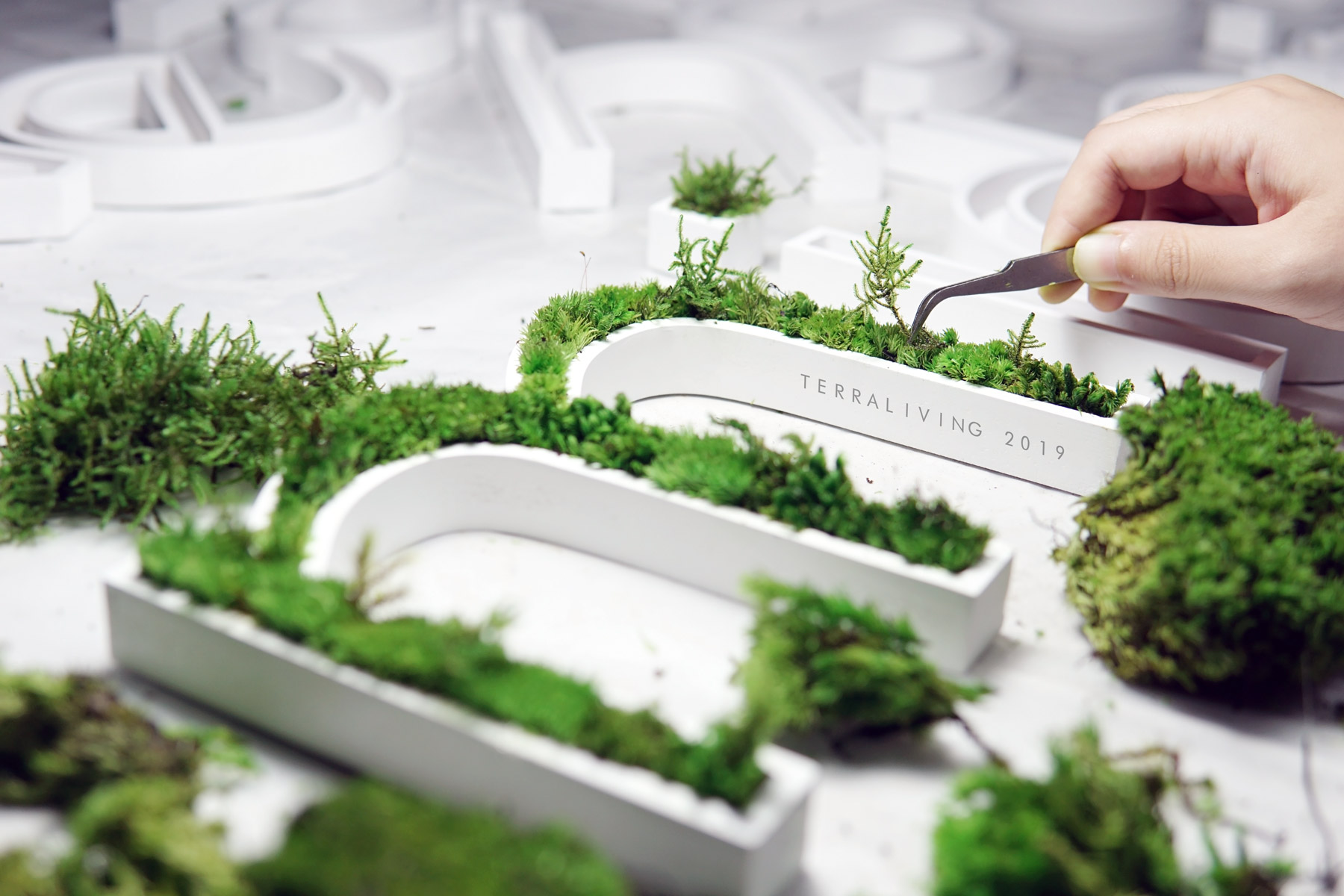 Moss Branding