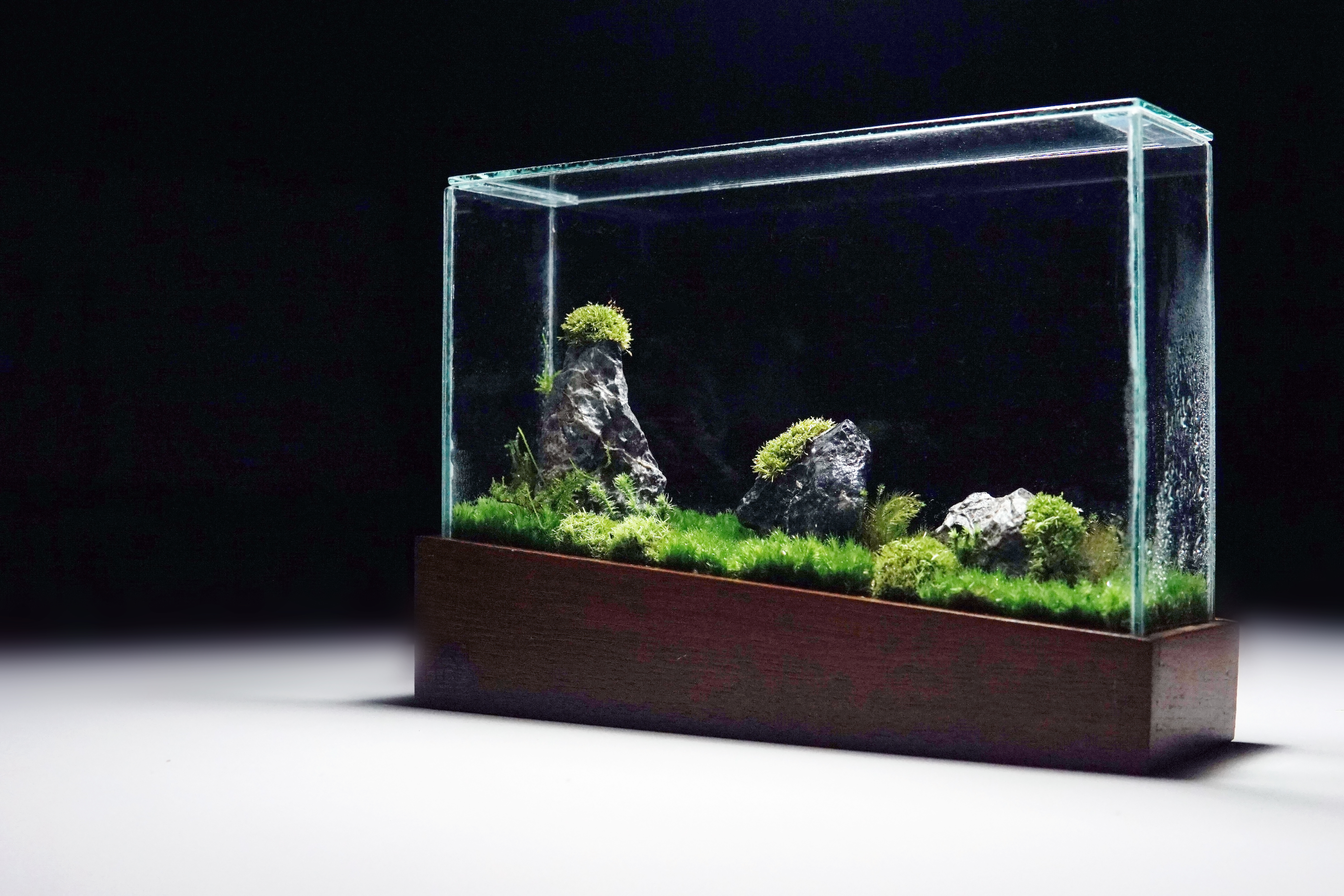 Moss Box