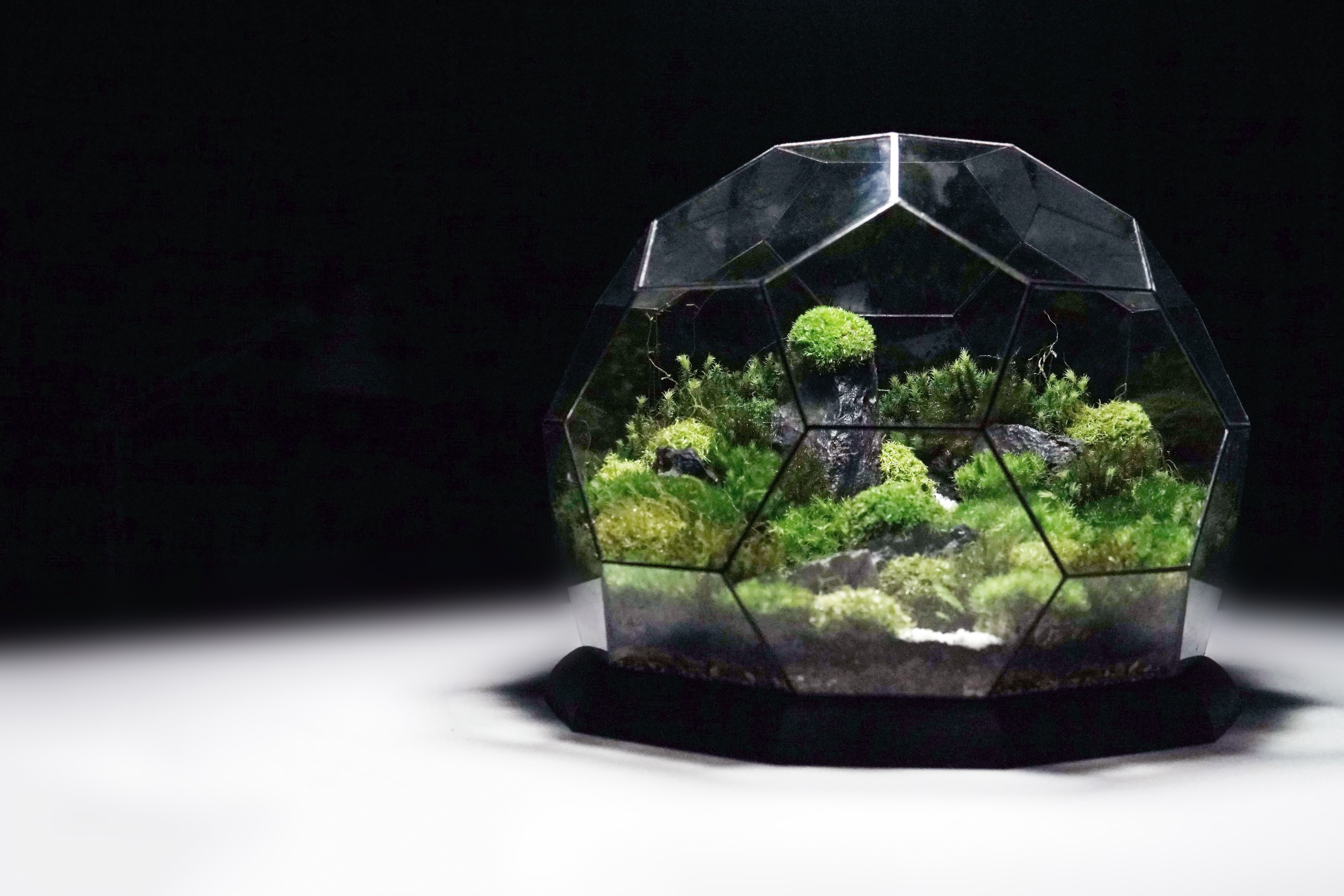 the TerraDome