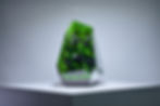Thumbnail: Luxury Preserved Moss Terrarium: The Vertex - Σ - R