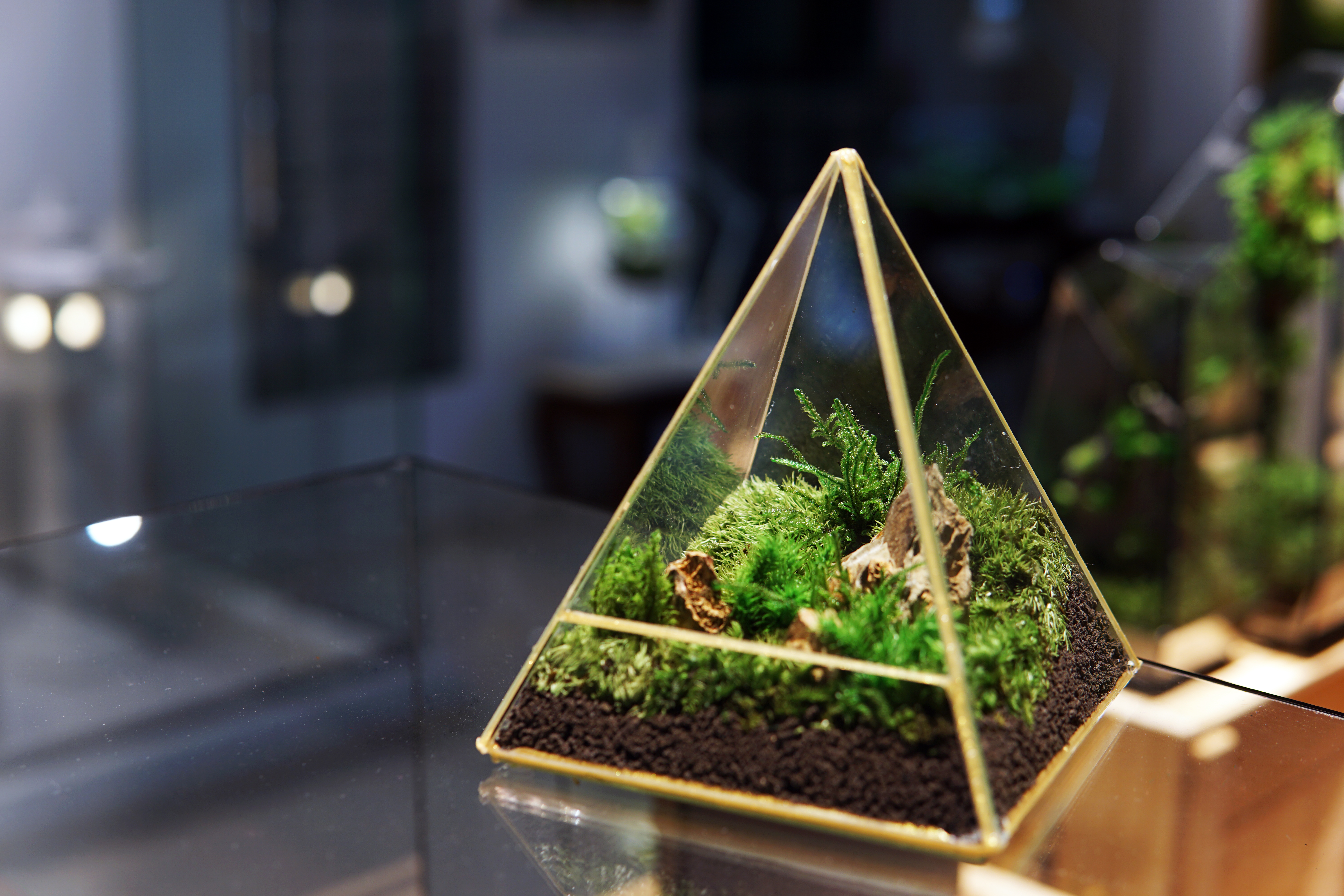 the Pyramidion