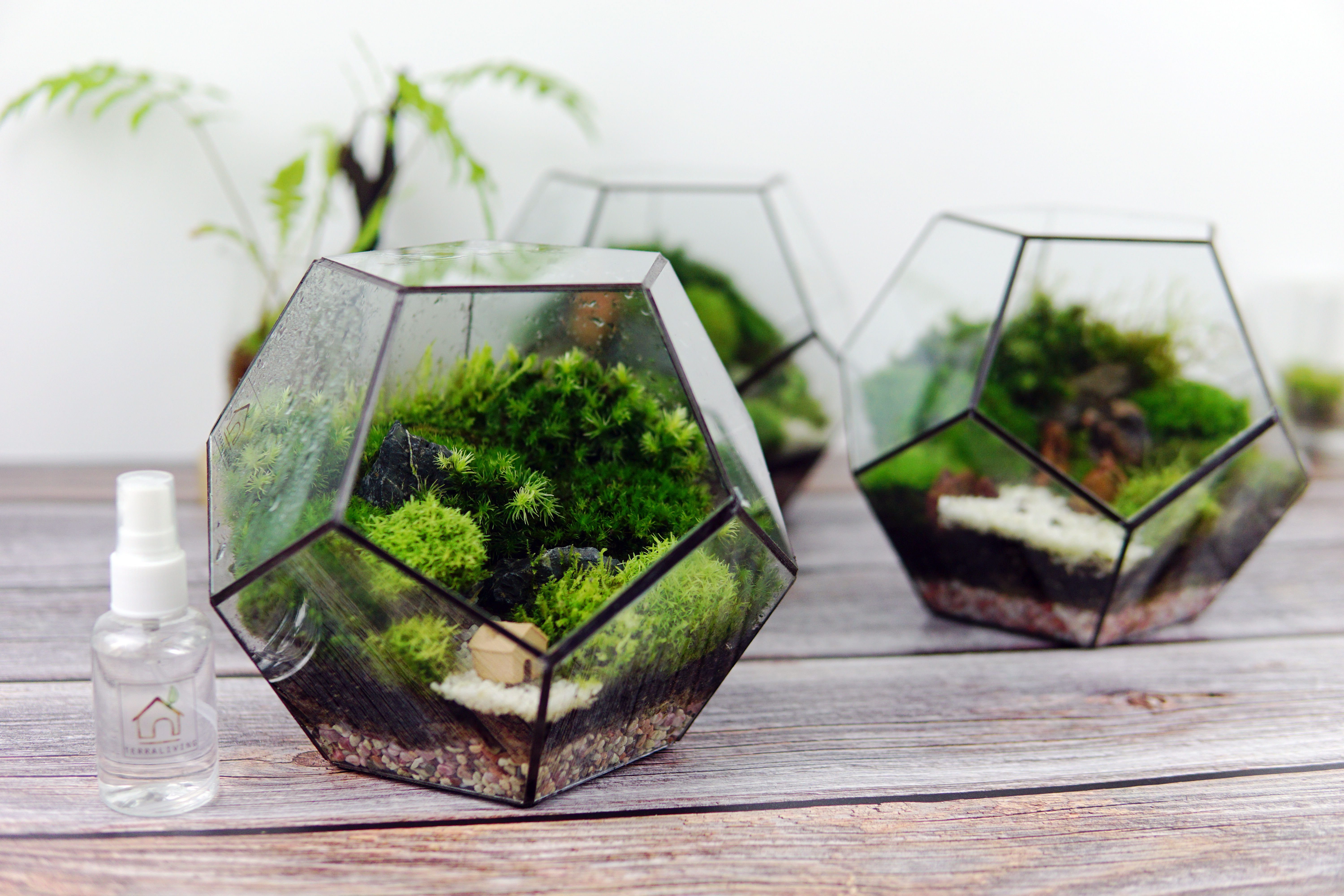 the TerraGeometry