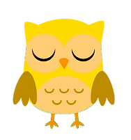 Petit hibou vert_edited.png