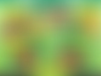 Hogy működik a szavazás? Országgyűlési választás és Népszavazás kisokos