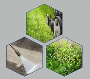 Garden tri.jpg