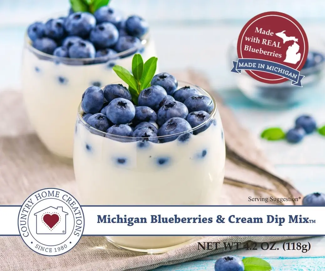 Michigan Blueberries & Cream Dip Mix