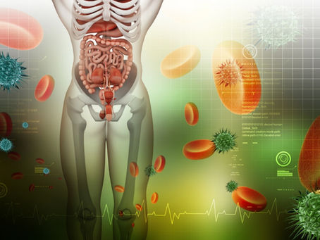 Gut Health Series - What is Gut Health?