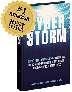 cyber-storm-img-min 1.png