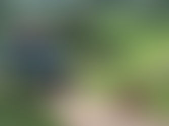 Top 5 Most Popular Types Of Cars For Hire In Uganda