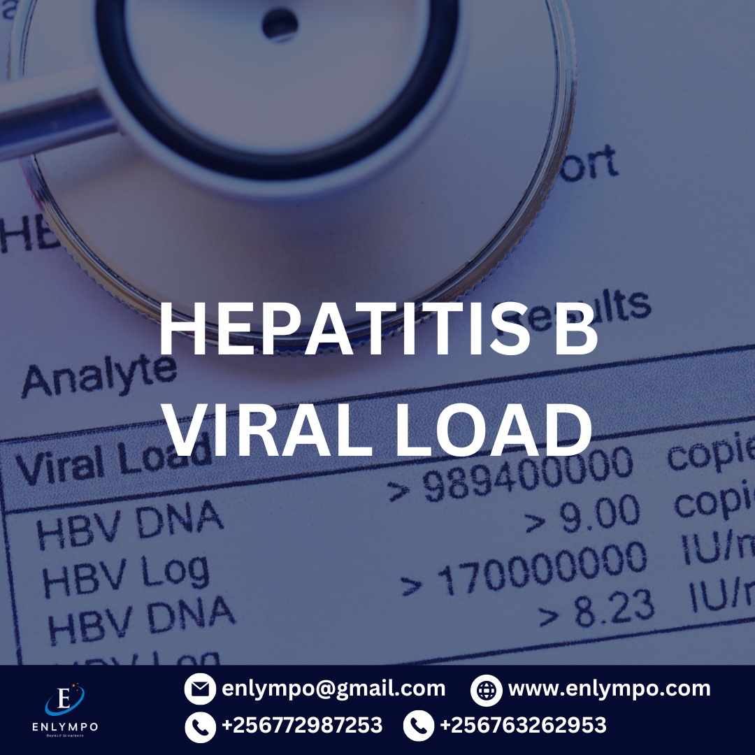 HEPATITIS B VIRAL LOAD