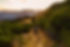 3 Wandern auf die Hörndlwand.jpg