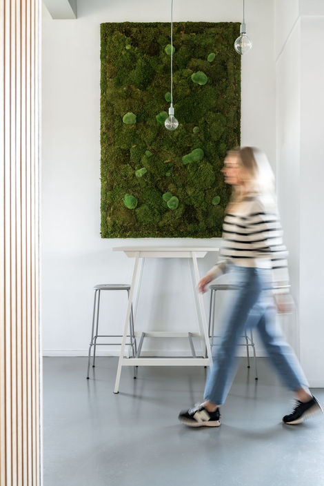 Office Design NLvoorElkaar - Breda - by Emave Studio