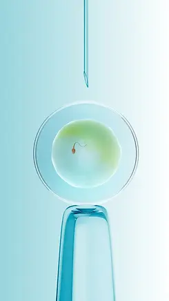 fresh-eggdonor.webp