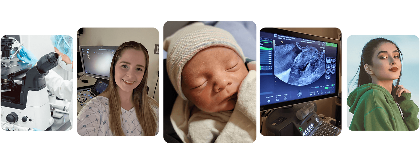 Programs and Cost Surrogacy.png