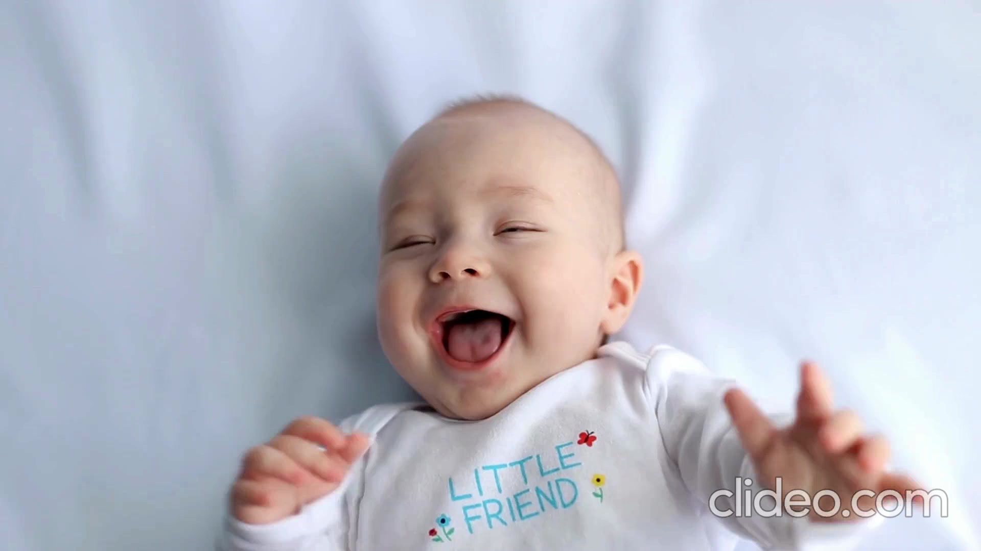Giving Tree Surrogacy logo