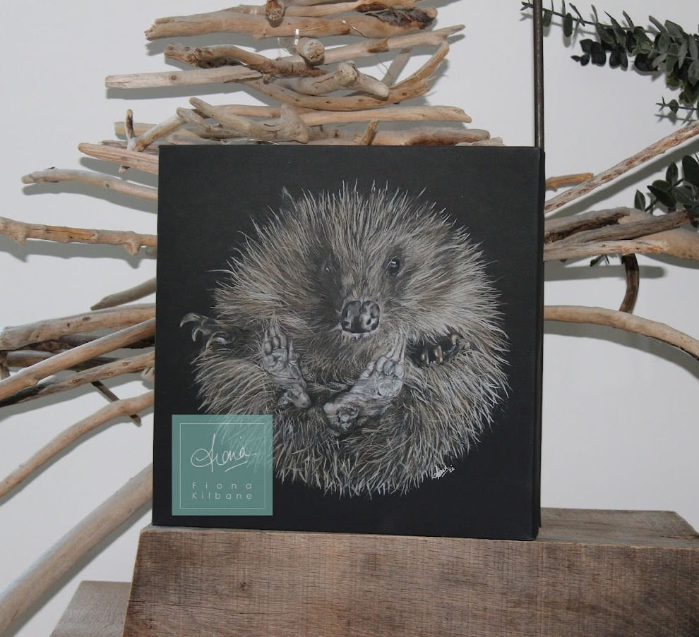 'Forest' The Rescue Hedgehog