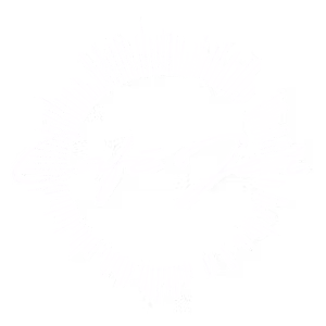 Logo-white-website.avif
