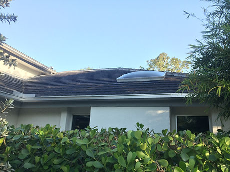Dirty Roof Tile Restoration