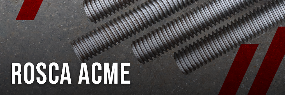 BANNER ROSCA ACME.png