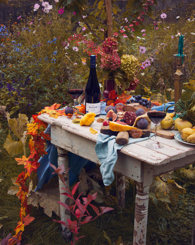 L'automne dans le jardin.