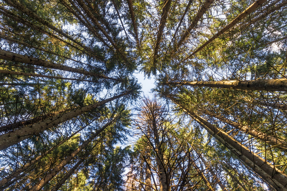 AdobeStock_225986601.jpeg