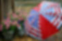 umbrella_flowers_rain_52625.jpg