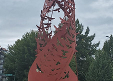 20240828_113316.jpg