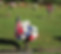 cemetery_remembrance_memorial_grave.jpg