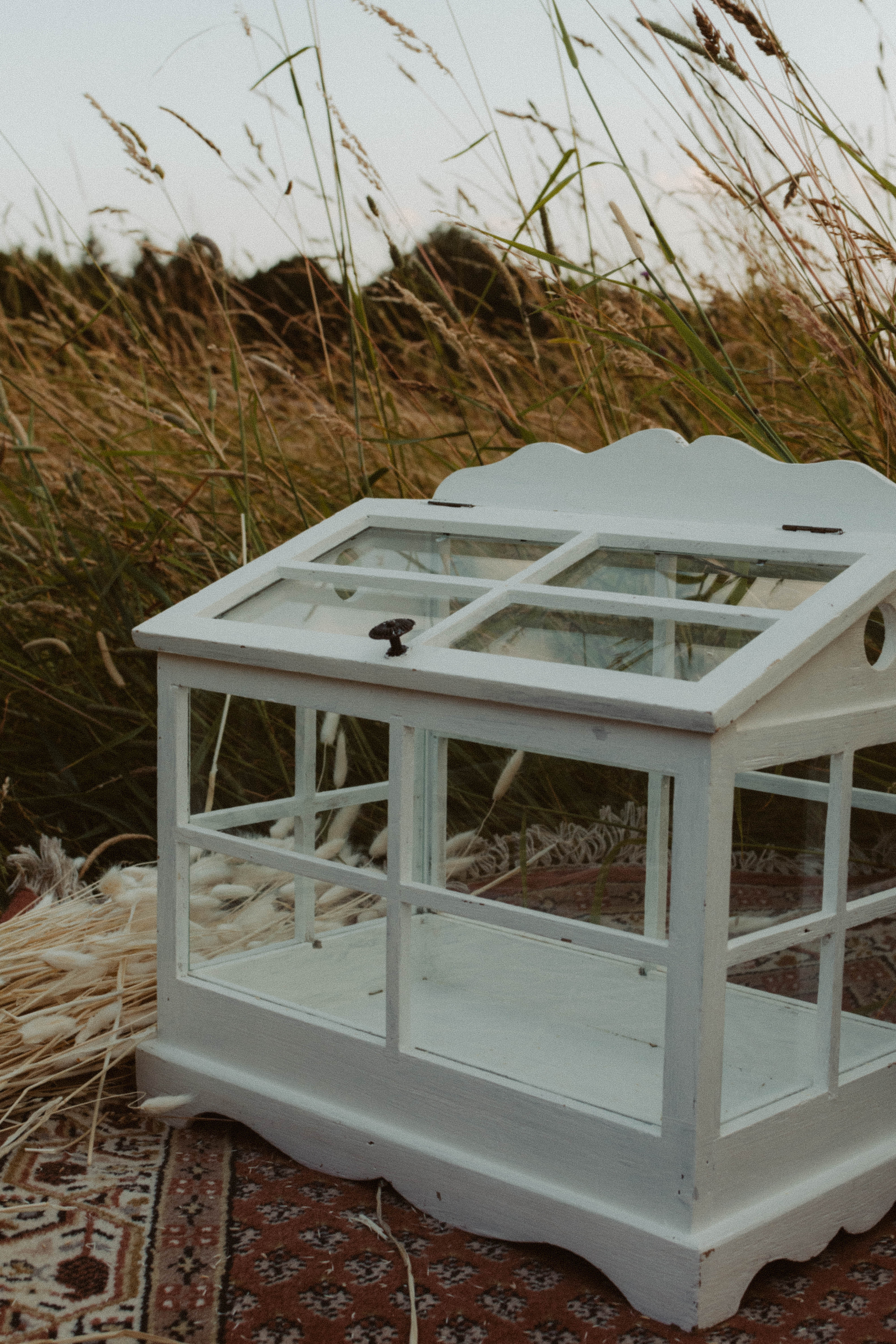 Kleines Gewächshaus für die Hochzeitspost