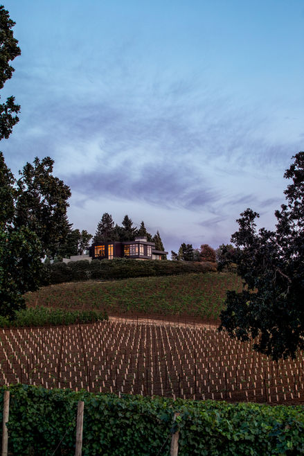 Modern Oregon custom home perched above vineyard rows at twilight, with expansive glass windows capturing views of the Willamette Valley.