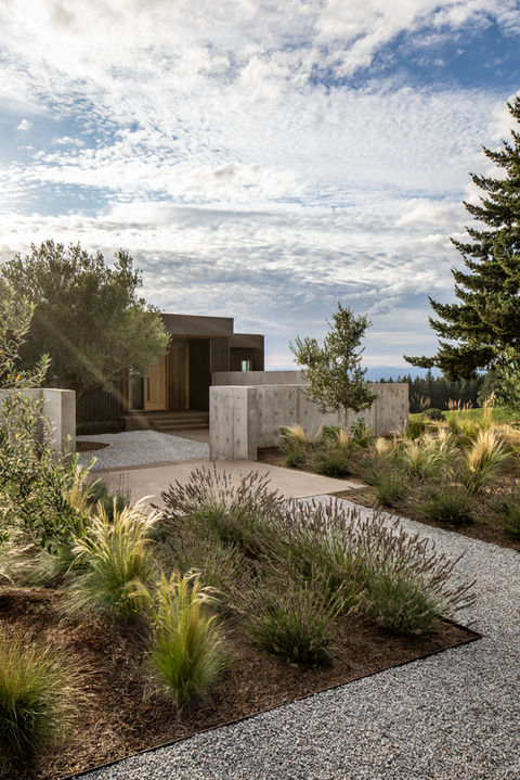 Hillside House exterior with gravel pathway, concrete walls, and native grasses leading to a modern wood-and-metal entry framed by vineyard views.