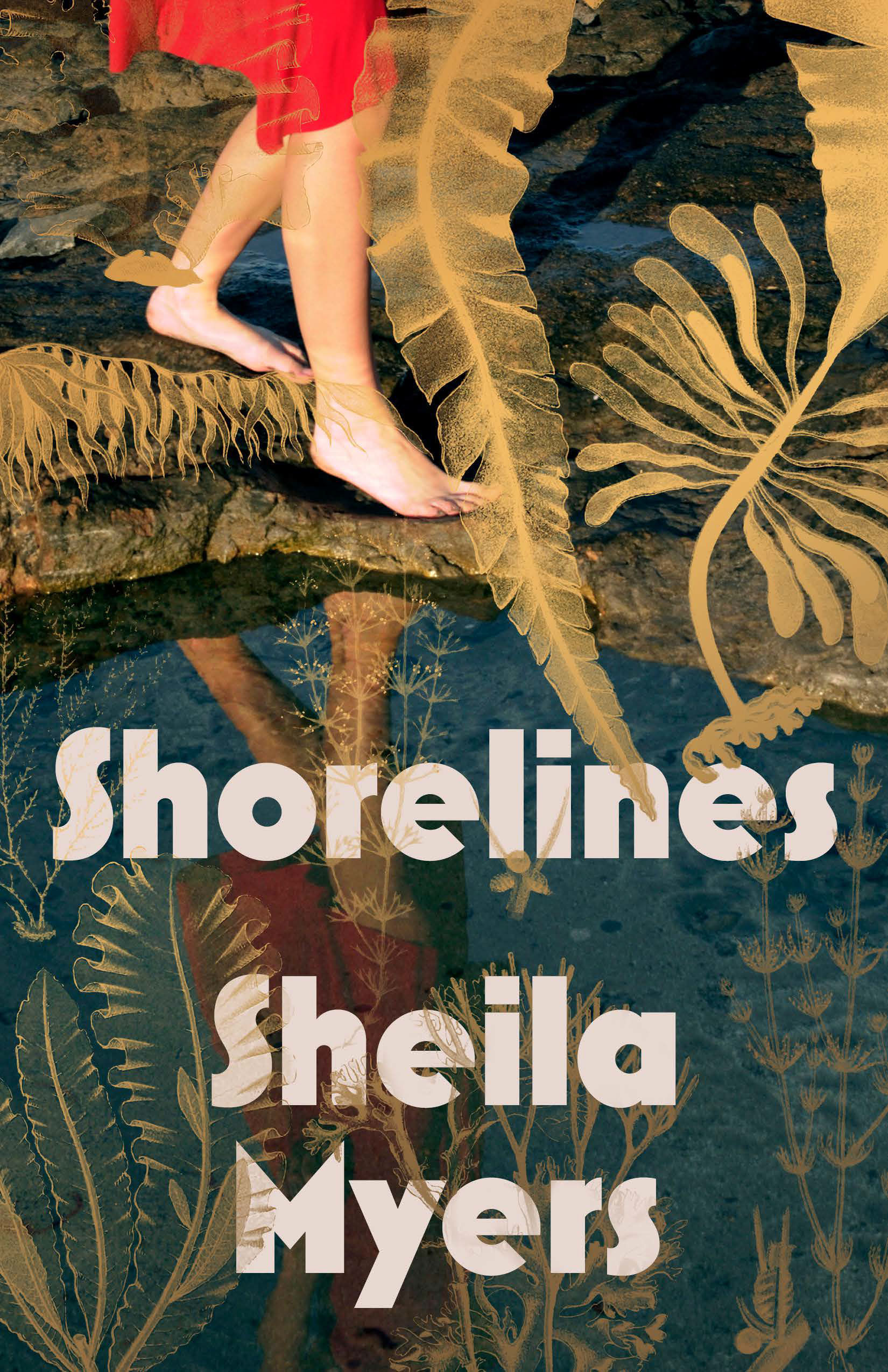 Shorelines