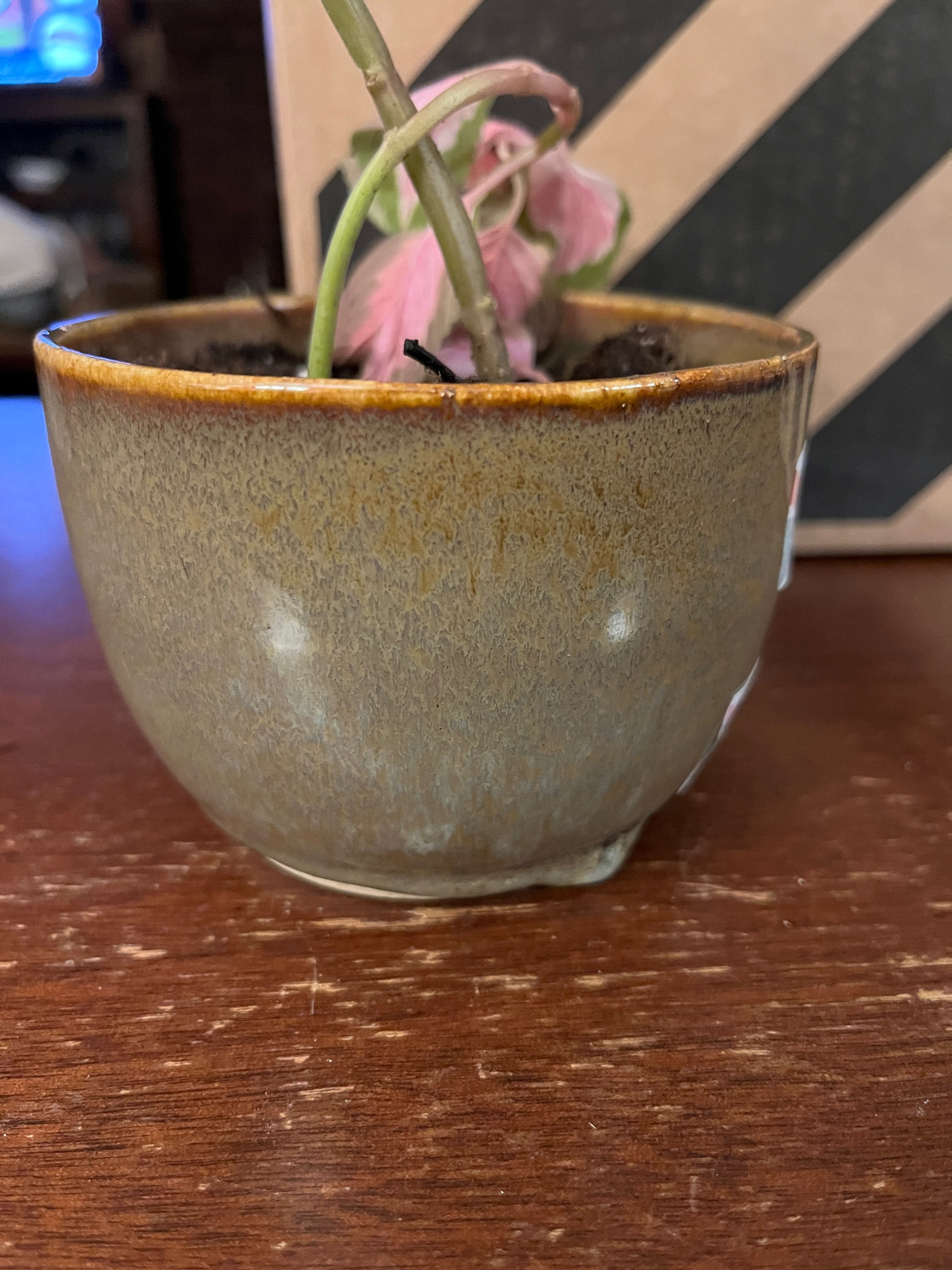 Earthy Pot (with sharp bottom)