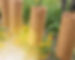 0B91A69B-BA99-4254-BB8B-E26F8BED8408_edited.jpg