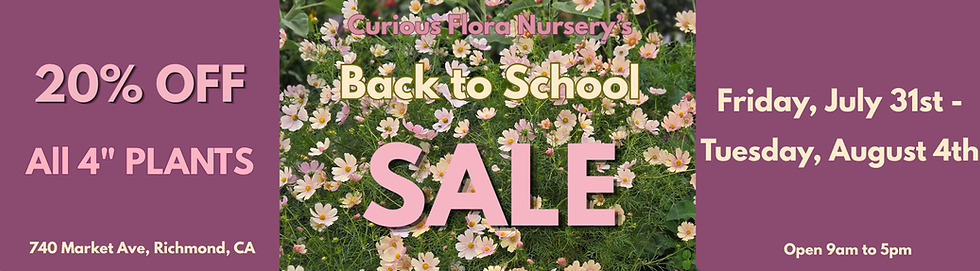 Back to School Sale Web Banner (1450 x 400 px).png