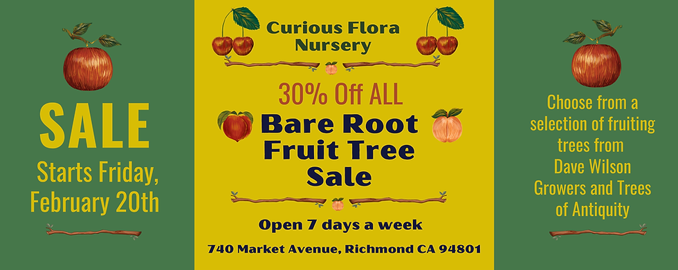 Bare Root Sale Website Banner (1).png