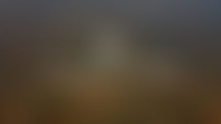 Earn More Commission with Land