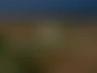 Discover Your Land’s Agricultural Value