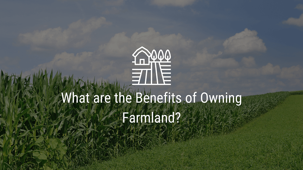 What are the Benefits of Owning Farmland?