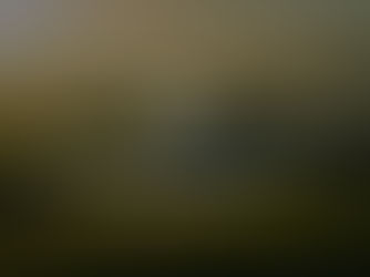 Which Resource is the Best For Me to Lease?