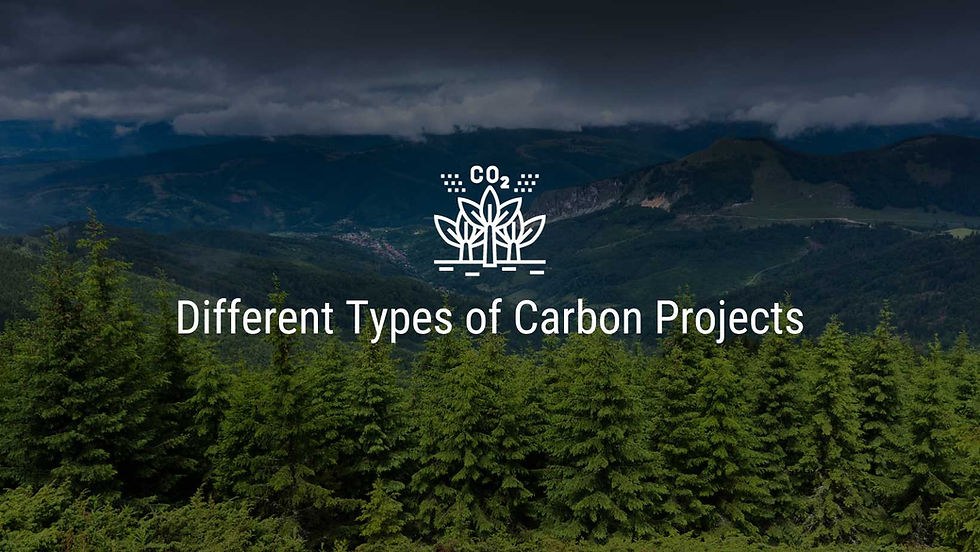 Different Types of Carbon Projects