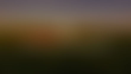 The Future of Sustainable Agriculture