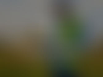 Landowner Liability: Developer Access During Due Diligence 