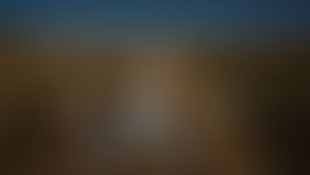 5 Reasons Land Can Return Huge Profits