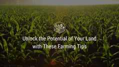 Unlock the Potential of Your Land with These Farming Tips