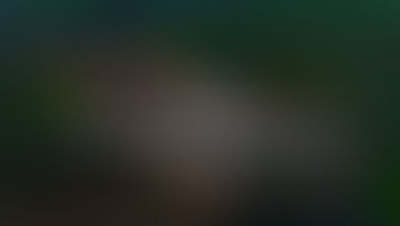 Do Developers Buy Buildings for Solar Farm Leases?