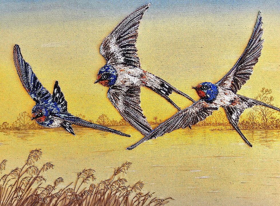 Thumbnail: The Dance Of The Swallows